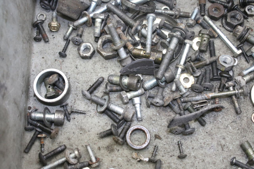 photo de WOREK ŚRUB I ŚRUBEK PIAGGIO X9 EVOLUTION 250 (2003 - 2007) - Zoom stanu zużycia