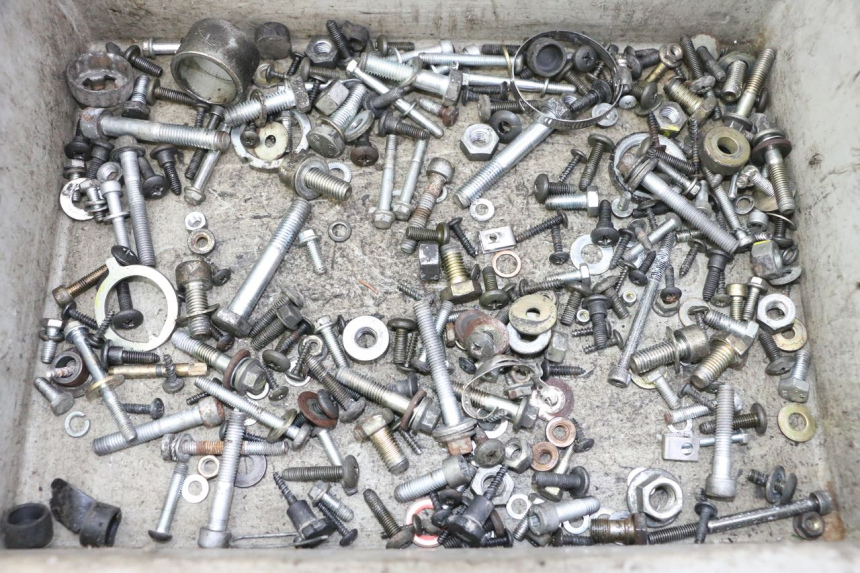 photo de WOREK ŚRUB I ŚRUBEK PIAGGIO X9 EVOLUTION 125 (2003 - 2007) - Widok główny