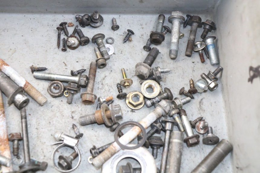 photo de TORBA ZESTAW ŚRUB I WKRĘTÓW YAMAHA YP MAJESTY 125 (2007 - 2010) - Zoom stanu zużycia