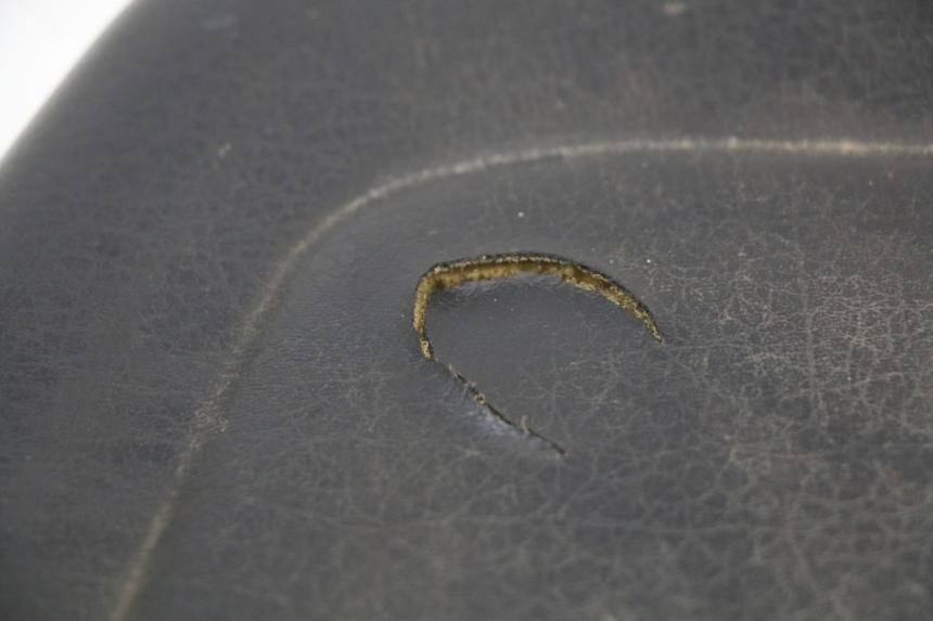 photo de TYŁ SIEDZENIA YAMAHA YP MAJESTY 125 (2002 - 2006) - Punkty mocowania