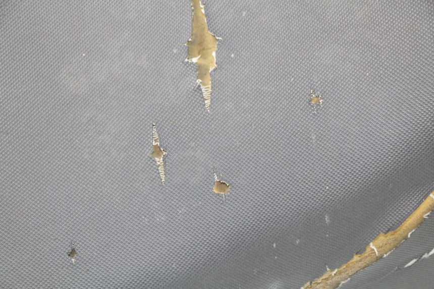 photo de SIEDZENIE ERIDER CARGO 1 (2009 - 2018) - Widok produktu