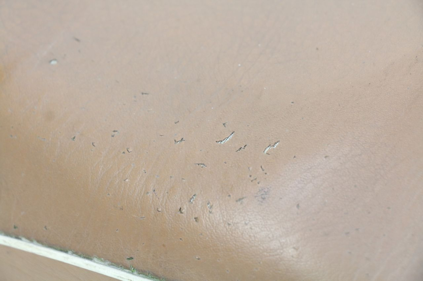 photo de SIEDZENIE RIDE CLASSIC 2T 50 (2014 - 2022) - Szczegóły charakterystyczne