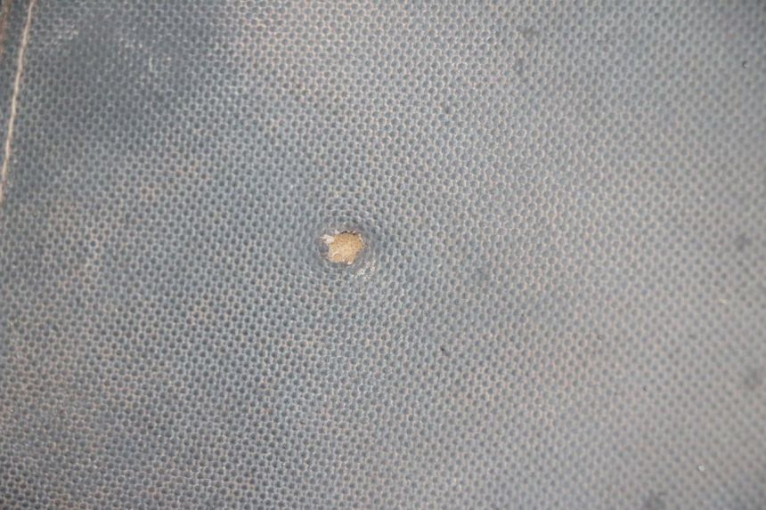 photo de SIEDZENIE LONGJIA DIGITA 4T 50 (2019 - 2022) - Widok z bliska