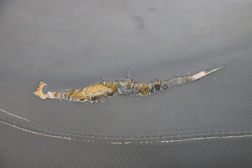 photo de SIEDZENIE LONGJIA DIGITA 4T 50 (2019 - 2022) - Stan powierzchni