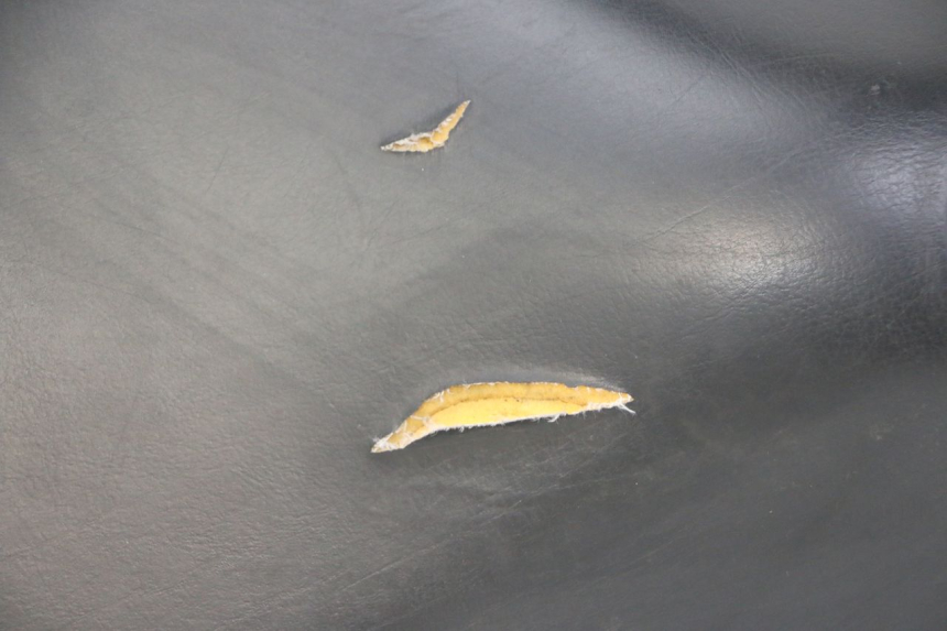 photo de SIEDZENIE PEUGEOT ELYSTAR 50 (2002 - 2014) - Kontrola wizualna