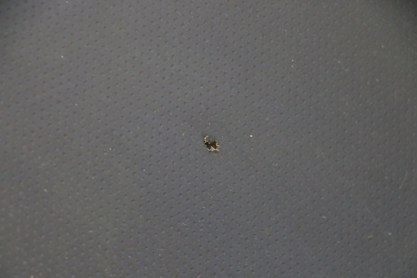 photo de SIEDZENIE STAHO FH 50 (2018 - 2019) - Widok ogólny