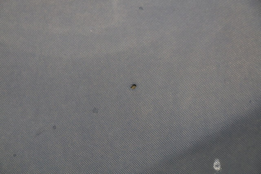 photo de SIEDZENIE JONWAY GTX 2T 50 (2014 - 2020) - Widok z bliska