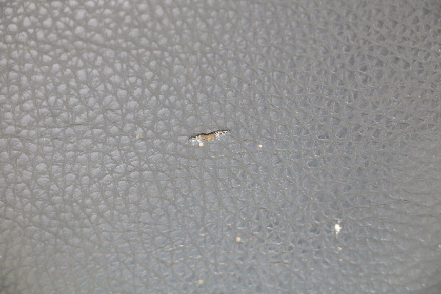 photo de SIEDZENIE PEUGEOT KISBEE 2T 50 (2010 - 2017) - Widok ogólny