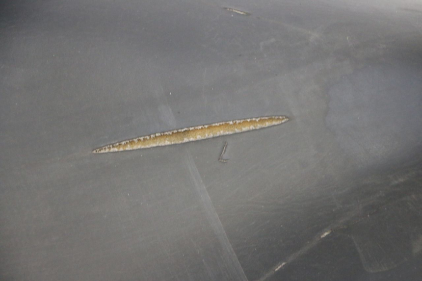 photo de SIEDZENIE PIAGGIO LIBERTY 125 (1998 - 2008) - Zoom stanu zużycia