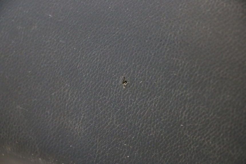 photo de SIEDZENIE PEUGEOT LUDIX ONE 50 (2004 - 2013) - Inny kąt widzenia