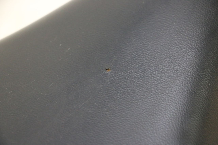 photo de SIODŁO PEUGEOT LUDIX SNAKE 2T 50 (2004 - 2014) - Zbliżenie techniczne