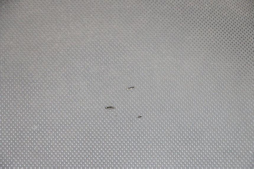 photo de SIEDZENIE MBK MACH G AC 50 (2002 - 2014) - Zbliżenie komponentów