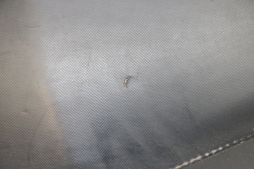 photo de SIEDZENIE PIAGGIO NEW TYPHOON 50 (2018 - 2021) - Widok ogólny