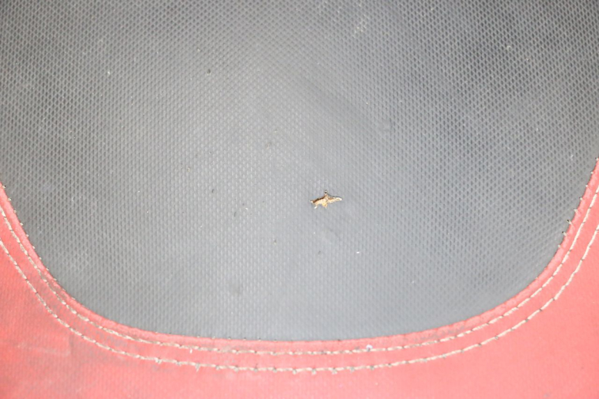 photo de SIEDZENIE PIAGGIO NEW TYPHOON 50 (2018 - 2021) - Stan powierzchni