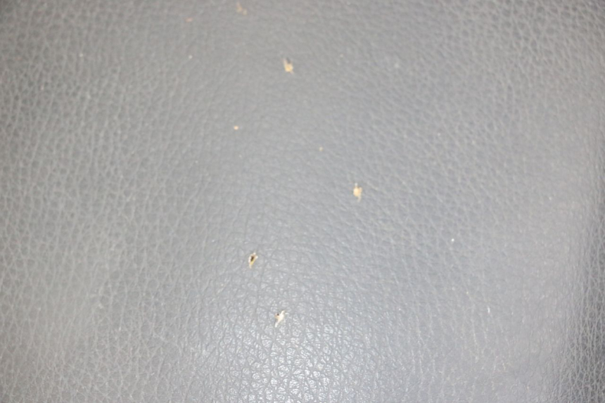 photo de SIEDZENIE SYM ORBIT 2 4T 50 (2008 - 2017) - Inny kąt widzenia