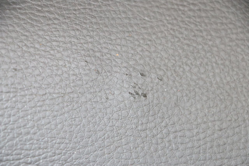 photo de SIEDZENIE PEUGEOT KISBEE 4T 50 (2010 - 2017) - Zoom jakości