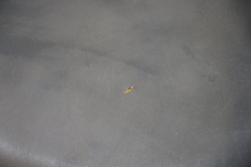 photo de SIEDZENIE PEUGEOT LUDIX 50 (2008 - 2017) - Punkty mocowania