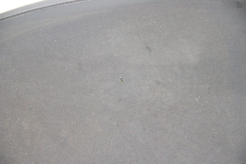 photo de SIEDZENIE TNT MOTOR ROMA 10' 4T 50 (2007 - 2018) - Widok produktu