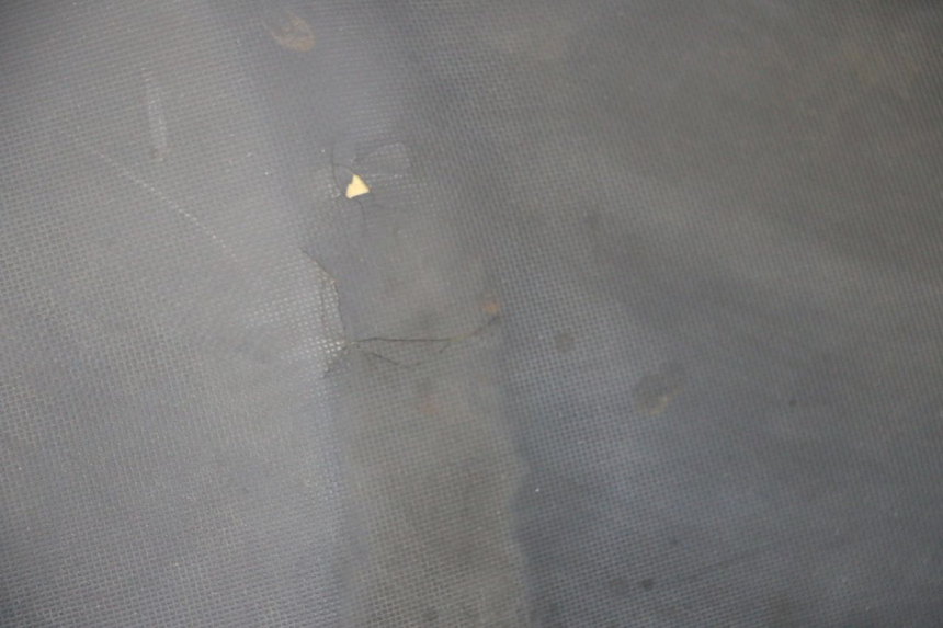 photo de SIEDZENIE DAELIM S1 125 (2007 - 2016) - Inny kąt widzenia