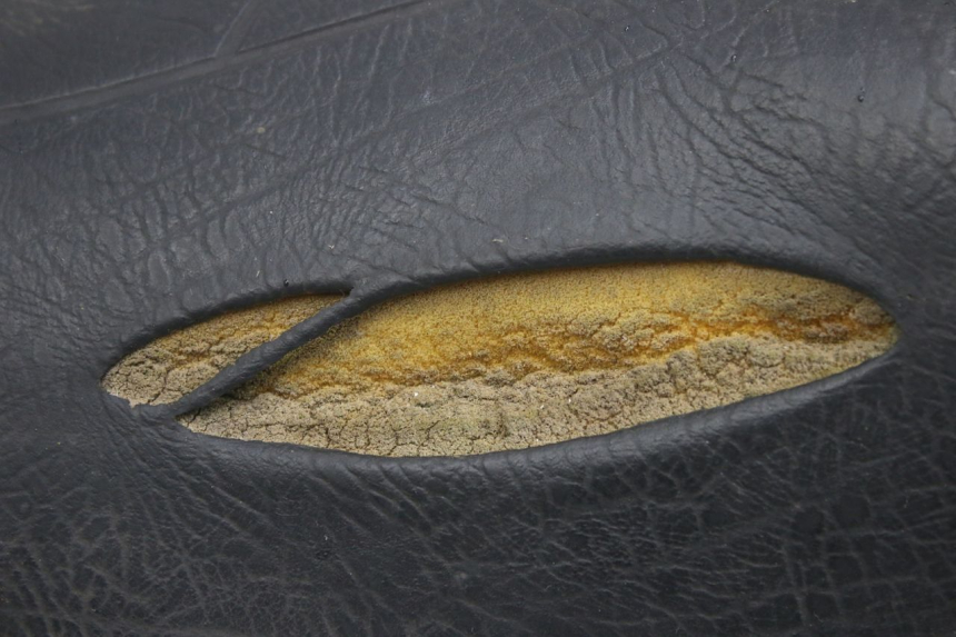 photo de SIEDZENIE APRILIA SCARABEO 100 (2003 - 2012) - Widok produktu