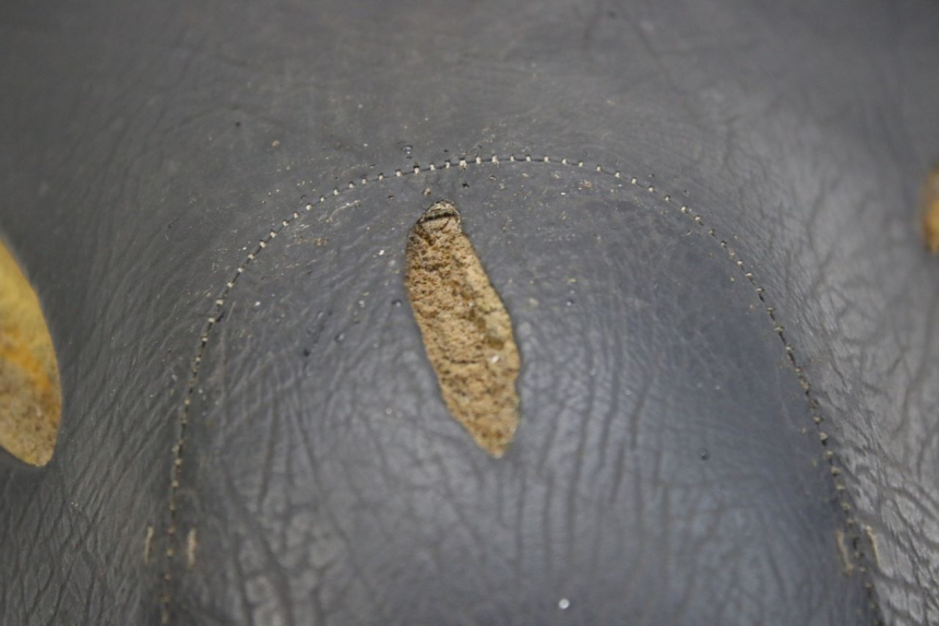 photo de SIEDZENIE APRILIA SCARABEO 100 (2003 - 2012) - Szczegóły charakterystyczne