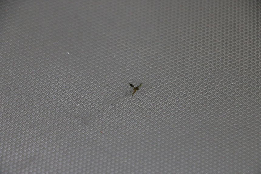 photo de SIEDZENIE SUZUKI GSF S BANDIT 600 (2000 - 2004) - Widok produktu