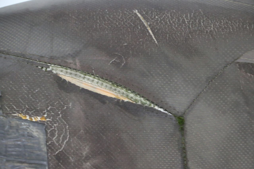 photo de SIEDZENIE YAMAHA X-MAX XMAX 250 (2006 - 2009) - Widok ogólny