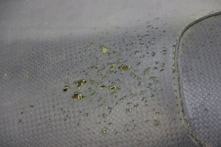 photo de SIEDZENIE YAMAHA AEROX 50 (1997 - 2006) - Punkty mocowania