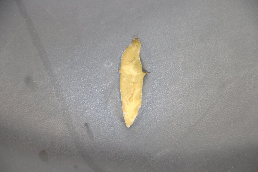 photo de SIEDZENIE YAMAHA NEOS NEO'S 4T 50 (2008 - 2016) - Szczegóły charakterystyczne