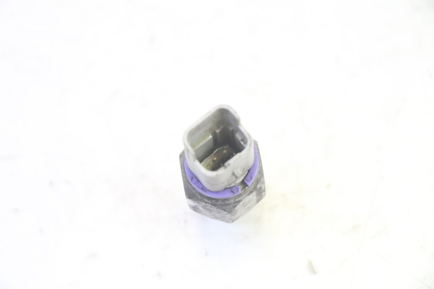 photo de CZUJNIK CIŚNIENIA OLEJU HAMULCOWEGO PIAGGIO MP3 RL 250 (2006 - 2010) - Zbliżenie techniczne