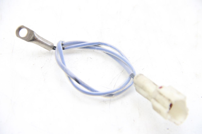 photo de CZUJNIK TNT MOTOR ROMA 10' 4T 50 (2019 - 2022) - Widok główny