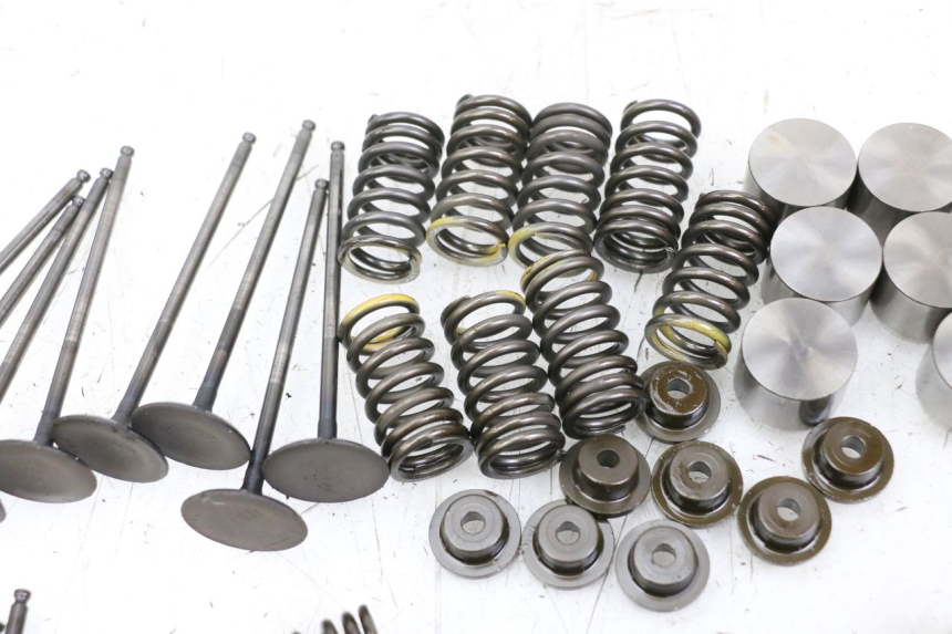 photo de ZAWÓR SUZUKI GSR 750 (2011 - 2017) - Stan powierzchni