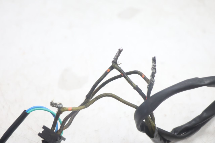 photo de STATOR SUZUKI BURGMAN EXECUTIVE ABS 650 (2006 - 2012) - Inny kąt widzenia