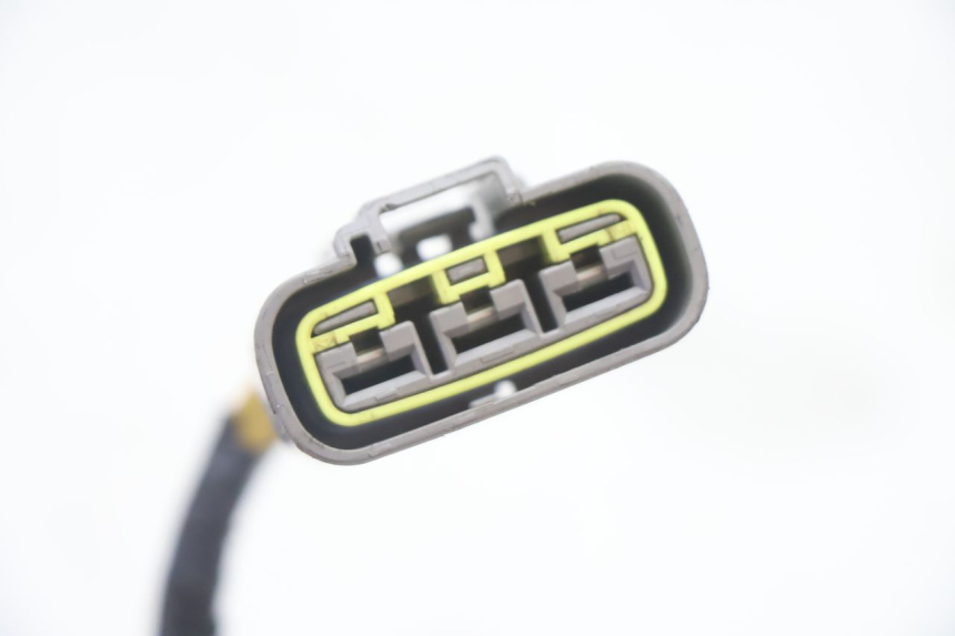 photo de STATOR BMW C SPORT 650 (2015 - 2021) - Widok ogólny