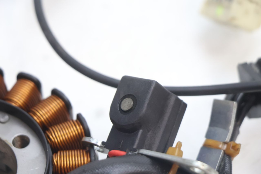 photo de STATOR PIAGGIO MP3 LT 300 (2010 - 2016) - Zoom stanu zużycia