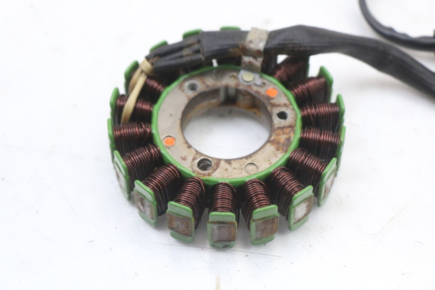 photo de STATOR REGAL RAPTOR RAXTER 2 125 (2007 - 2015) - Zoom stanu zużycia
