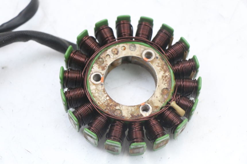 photo de STATOR REGAL RAPTOR RAXTER 2 125 (2007 - 2015) - Zbliżenie techniczne