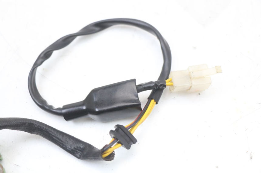 photo de STATOR REGAL RAPTOR RAXTER 2 125 (2007 - 2015) - Widok ogólny