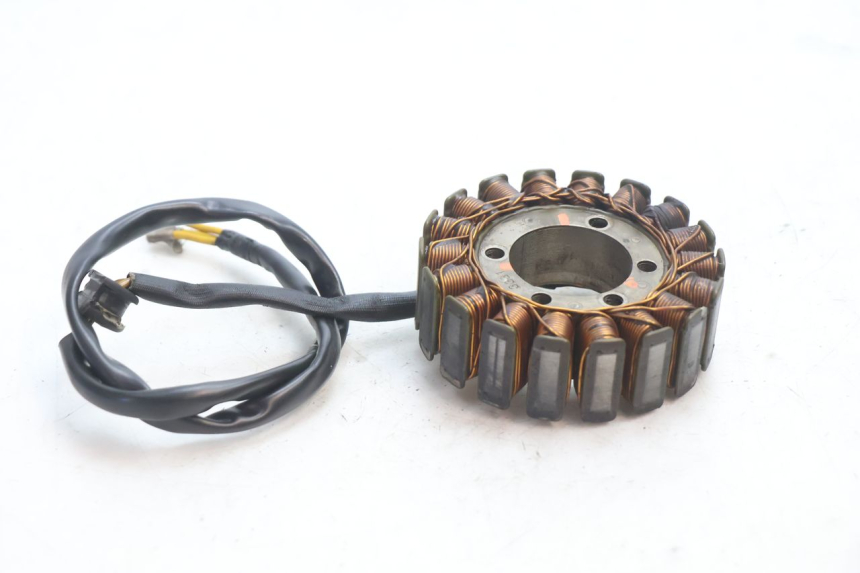 photo de STATOR DUCATI SS IE DS CARENEE 1000 (2002 - 2006) - Szczegół części