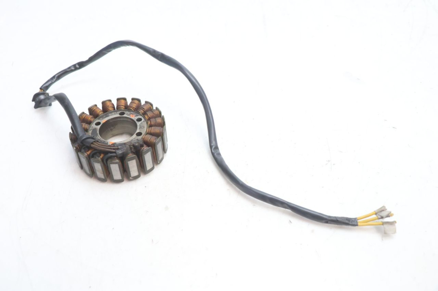 photo de STATOR DUCATI SS IE DS CARENEE 1000 (2002 - 2006) - Zoom stanu zużycia