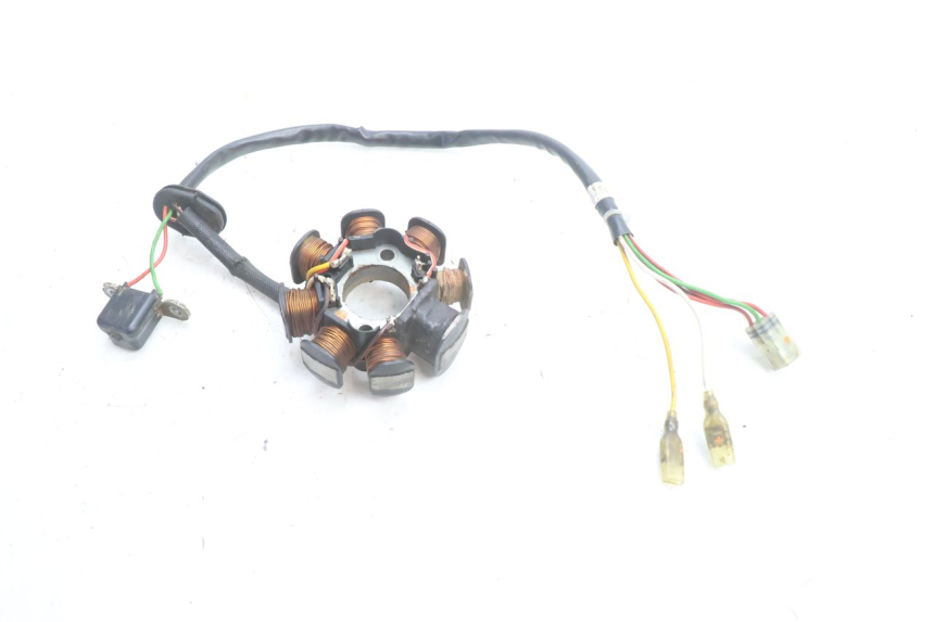 photo de STATOR HUSABERG TE 250 (2011 - 2014) - Zbliżenie techniczne