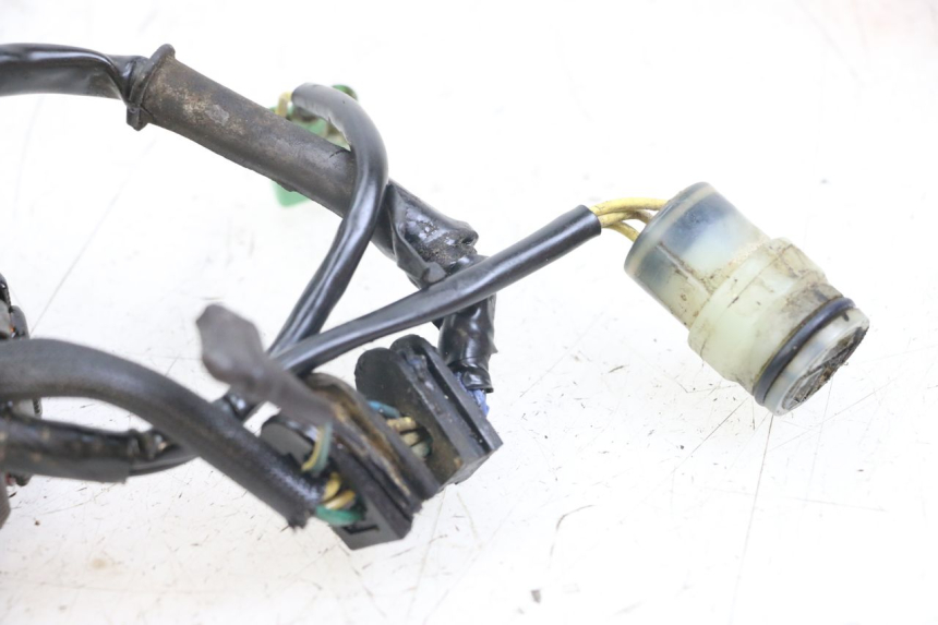 photo de STATOR HONDA TRX 300 (1988 - 2000) - Szczegół części