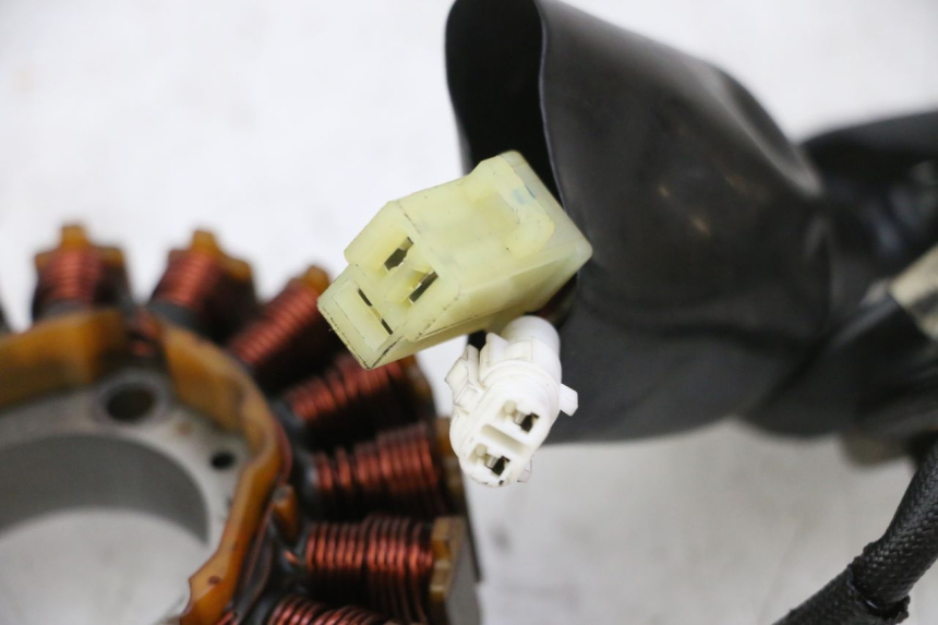 photo de STATOR YAMAHA X-MAX XMAX 250 (2006 - 2009) - Widok ogólny