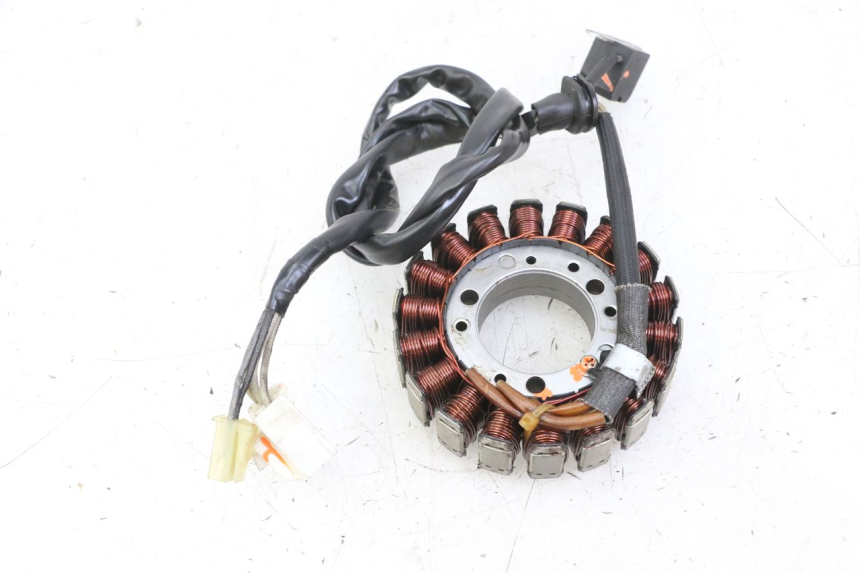 photo de STATOR YAMAHA FZS FAZER 600 (2001 - 2003) - Widok główny