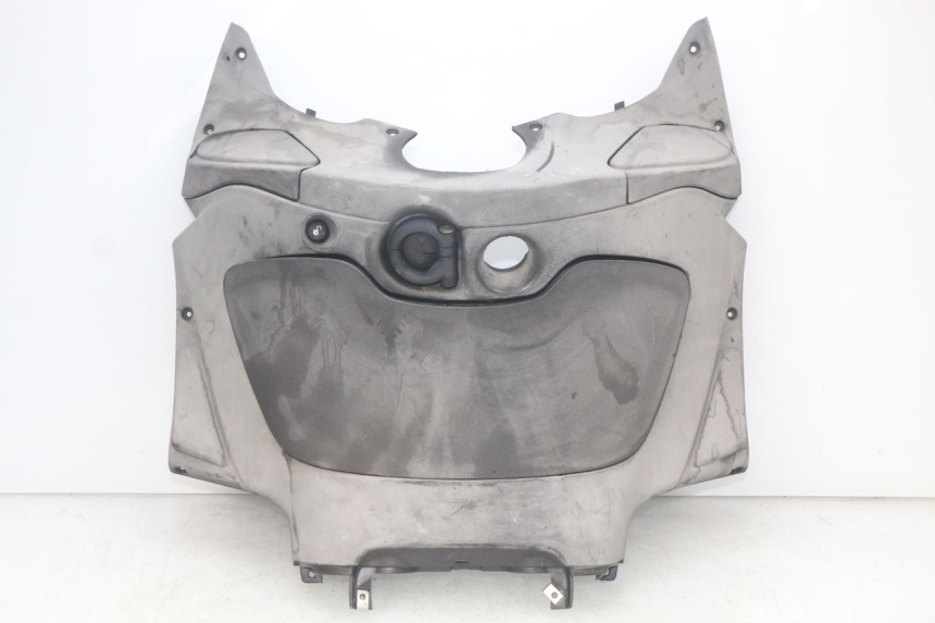 photo de PODSZYBIE WEWNĘTRZNE PIAGGIO X9 EVOLUTION 250 (2003 - 2007) - Widok główny