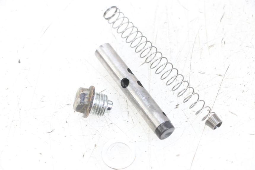 photo de NAPINACZ ŁAŃCUCHA ROZRZĄDU APOLLO RFZ 125 - Widok główny