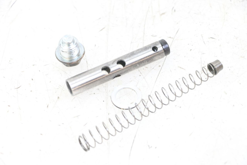 photo de NAPINACZ ŁAŃCUCHA ROZRZĄDU APOLLO RFZ 125 - Szczegół części