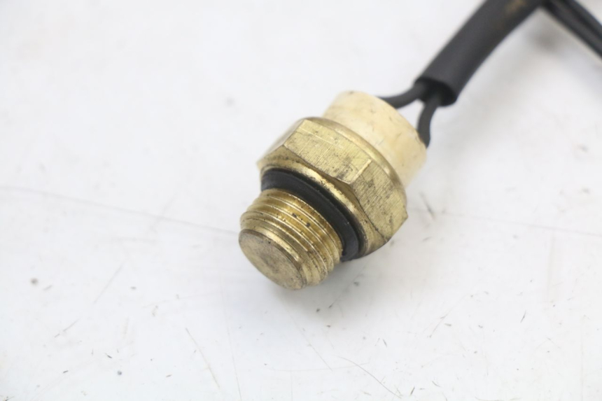 photo de TERMOKONTAKT REGAL RAPTOR SPYDER 125 (2010 - 2018) - Szczegół części