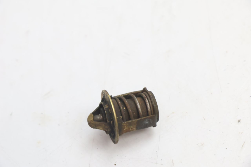 photo de TERMOSTAT HM HONDA DERAPAGE 50 (2007 - 2009) - Zoom stanu zużycia