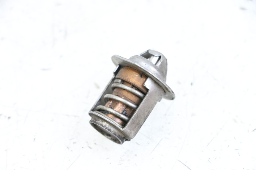 photo de TERMOSTAT NECO GPX LC 2T 50 (2014 - 2018) - Widok główny